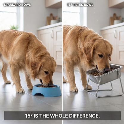 The 15° Bowl (Large)