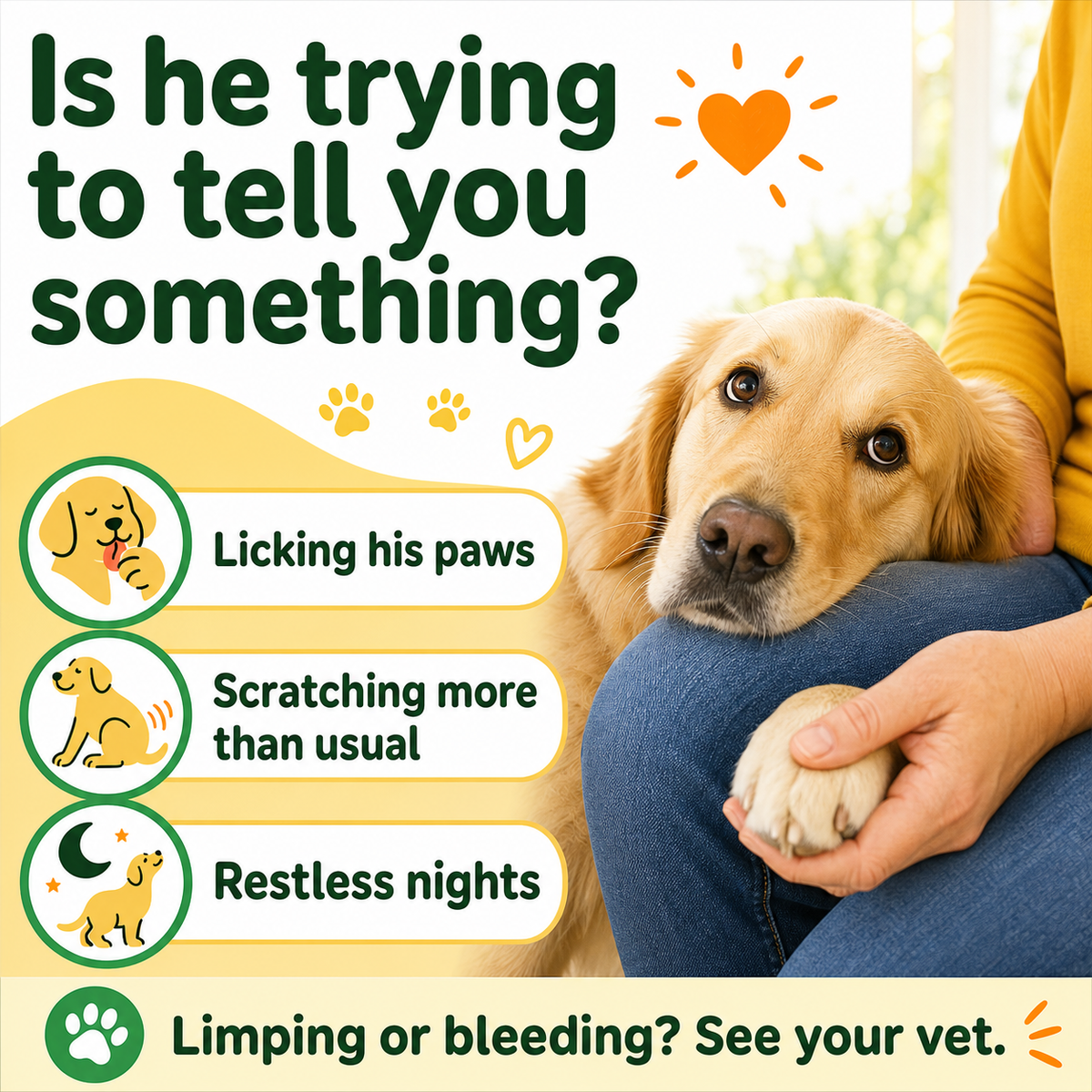 Natural Yeast & Skin Balance Support for Dogs