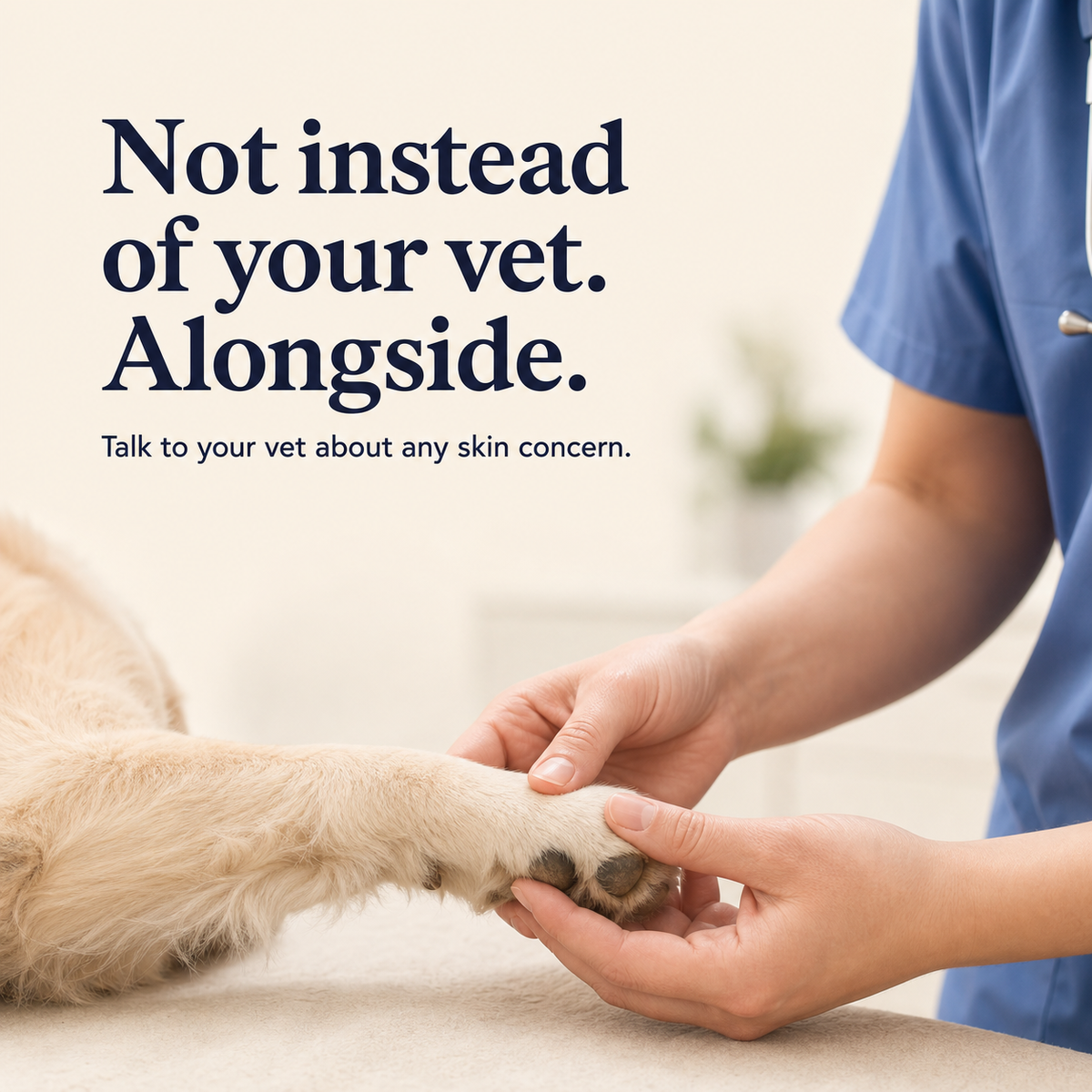 Skin & Itch Support for Dogs