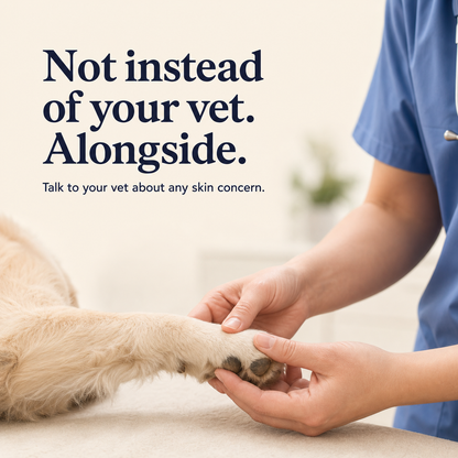 Skin & Itch Support for Dogs